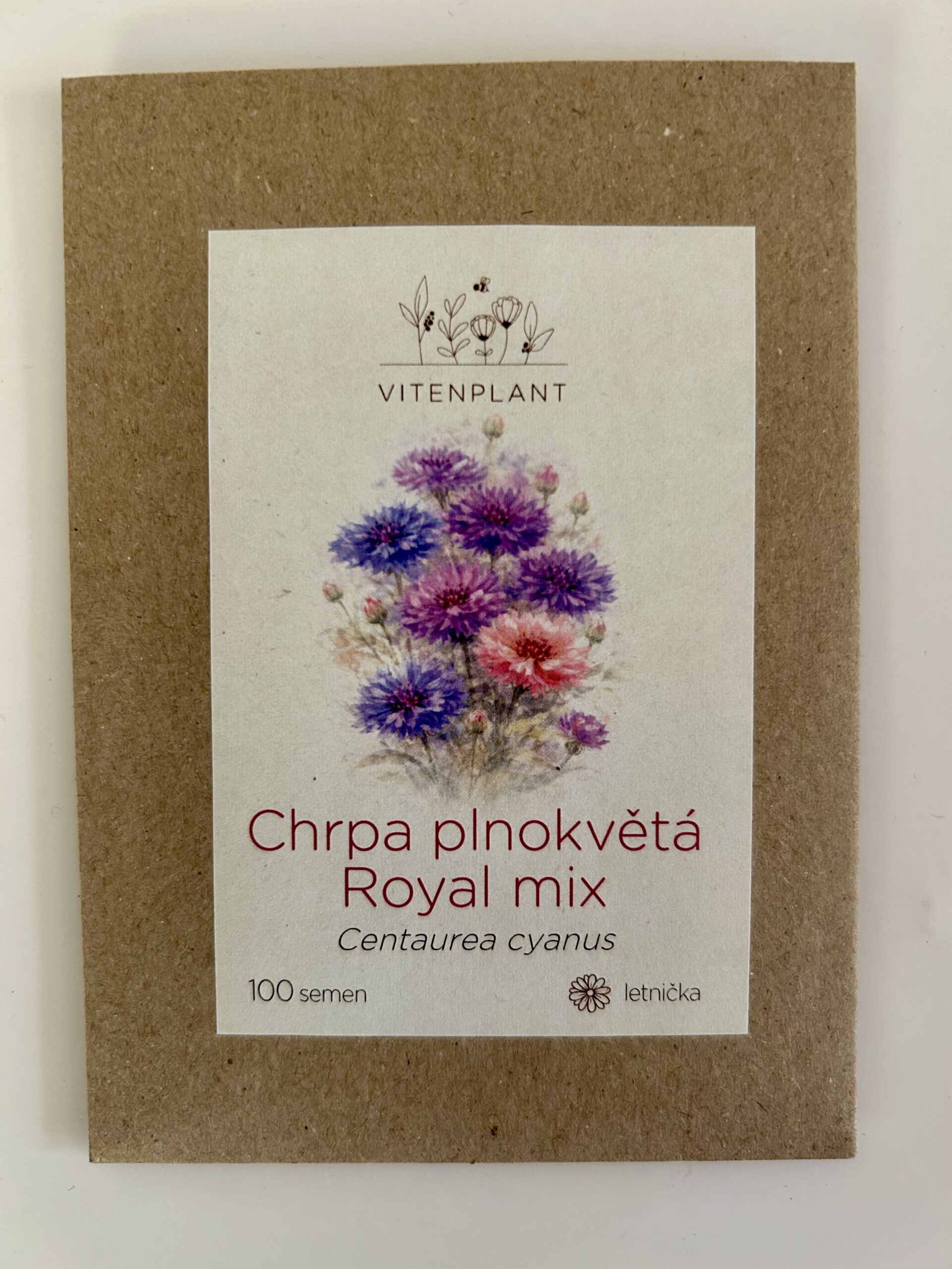 BIO Chrpa plnokvětá Royal mix